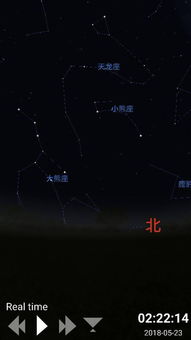 天蝎之刺解谜攻略：星空奥秘一触即发，全新视角解锁！