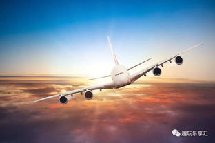 立陶宛男子化身传奇机长，穿梭欧洲多国航线数百次创纪录