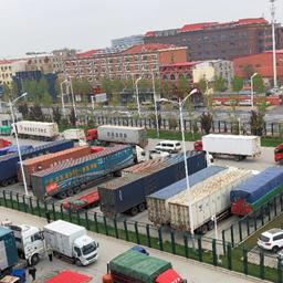 神秘机长跨国飞行传奇：揭秘立陶宛男子执飞数百次往返欧洲秘闻