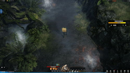 《命运方舟》探秘：揭秘沉浸式冒险新体验