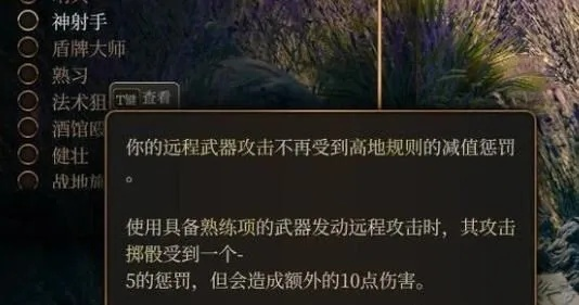 博德之门3高爆刺客BD攻略，双手弓绝杀技巧揭秘！