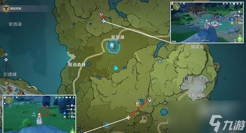 枫丹海露花攻略：高效采集路线大揭秘，轻松解锁新价值