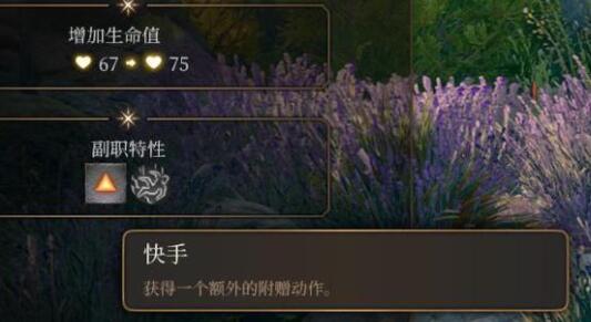 博德之门3散打武僧攻略：深度解析全新战斗艺术