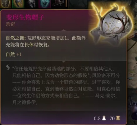 博德之门3珍奇装备大揭秘：外观与效果双重震撼体验