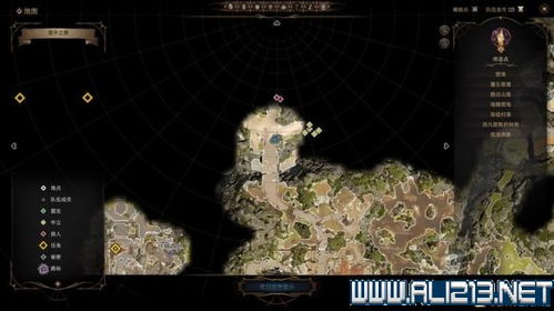 《博德之门3》种族解析攻略：种族选择与特色深度剖析