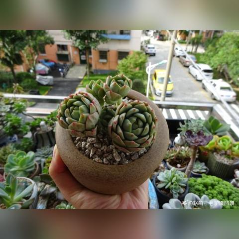 球状闪电流法师BD新攻略：S1赛季最强法师崛起秘籍