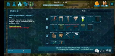 《命运方舟》国服黑话大揭秘:解锁游戏圈新秘籍 《命运方舟》国服黑话大揭秘:解锁游戏圈新秘籍