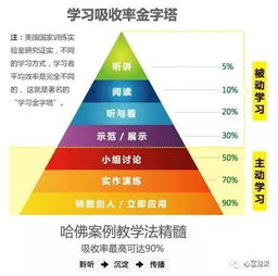 《原神》4.0新机制解析：深度揭秘芒荒奥秘与价值探索
