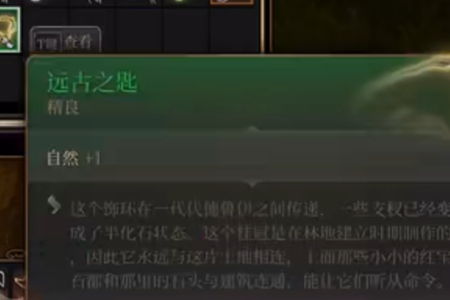 博德之门3巫术秘籍：传奇书籍地窖4独家获取攻略揭秘