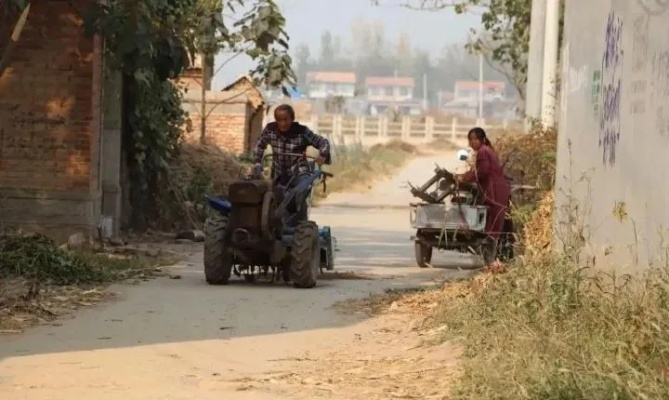河南小村凭啥引16位博士组队开荒？藏在乡土里的游戏终极副本火了