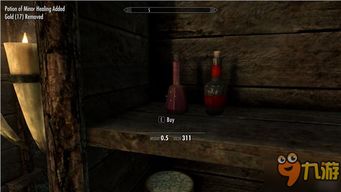 上古卷轴5水桶套头盗窃新招曝光：开发者未料BUG变奇技