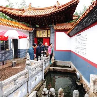 原神鱼多久刷新？资深玩家实测全鱼种周期+蹲点避坑技巧