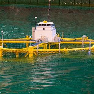 怪怪水族馆总养死鱼？我用3个隐藏机制从0氪党变成渔场霸主