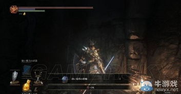 暗黑血统2魂裁者如何碾压终章？遗忘骨牢隐藏机制+终极build实战全解析