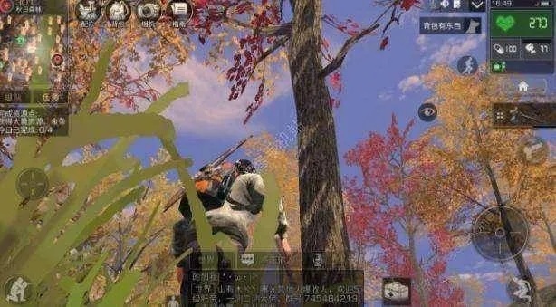 秋日森林探索藏了多少秘密？老玩家实测3天找到的隐藏线、资源点全曝光