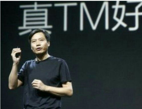 雷军捡钱术：财富缩水瞬间，胡润笑谈捡金变亏金