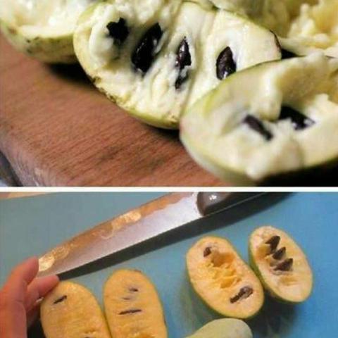 Q版泡泡堂5隐藏关卡全通秘诀，为什么老玩家都在刷这3个冷门道具？