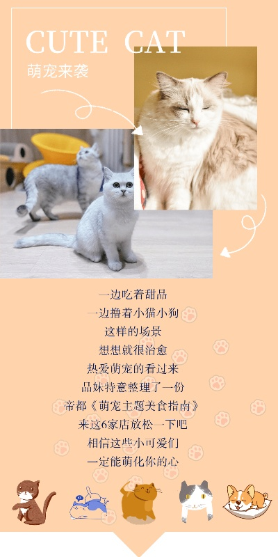 治愈系萌宠甜品屋《喵喵屋》甜蜜开张，温馨经营新体验