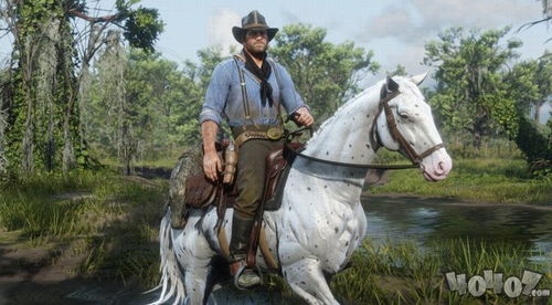 玩荒野大镖客2PC版总觉得差点意思？老牛仔用300小时实战经验，帮你打通任督二脉