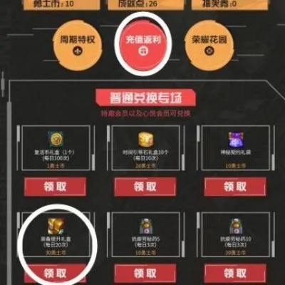 盛大充值中心总踩坑？老玩家3年实战总结，5个隐藏雷区90%人没注意