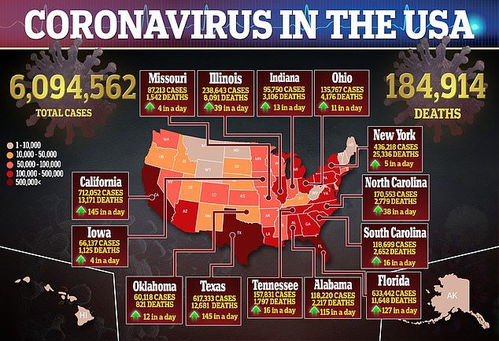 逛过bfo.sdo.com却没发现这些，你可能白玩黑色沙漠国服了！