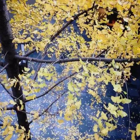 真菌世界新手崩溃瞬间，扩张越快死越惨？3个实战公式直接抄作业