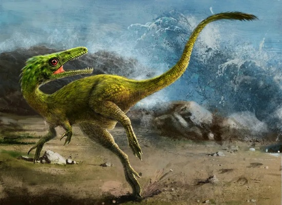 养龙总翻车？你没搞懂的龙类生态适配机制，才是碾压对手的关键