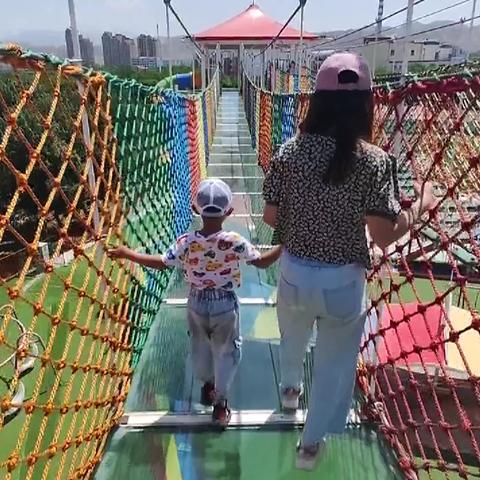 彩虹岛老玩家必看，官方网站藏着哪些能直接提升游戏体验的秘密？