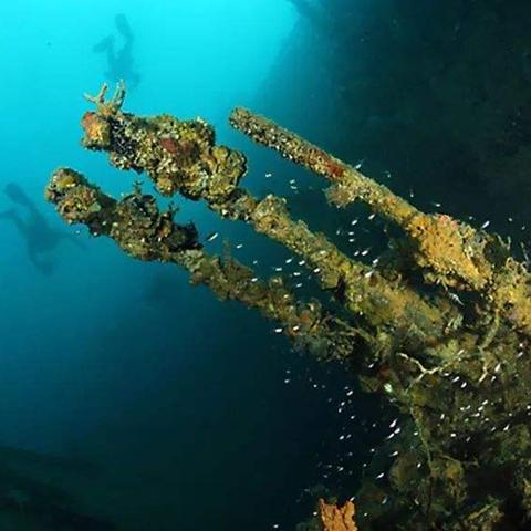 为什么游戏玩家都在等岛屿读书的新年祝福？藏在文字里的海岛情怀太戳人