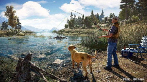 墨西哥丛林惊现《孤岛惊魂7》神秘新线索