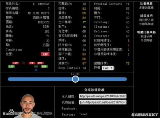 PES2013妖人隐藏密码，那些被你忽略的未来球王实战养成攻略