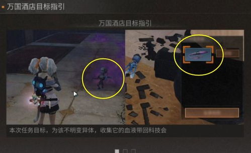 为什么90%玩家没玩懂羽飞？我用2000场实战破解了它的底层逻辑