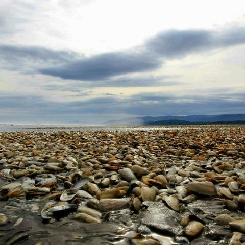 死亡岛下载别瞎找！老玩家私藏的3个「无损资源」渠道，今天全说破