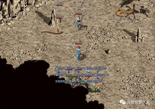 传奇老玩家私藏的3张隐藏地图，刷装效率比猪洞高2倍？