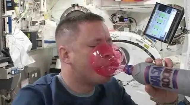 欧洲航天局创新蛋白源：尿液变粉，宇航员营养新选择