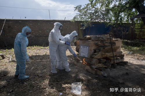 美国网红印度牛粪节惊险体验，回国直言濒临生死边缘！