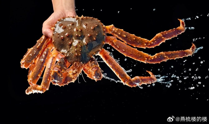 999元帝王蟹惊现南京大学食堂，神秘下架引关注