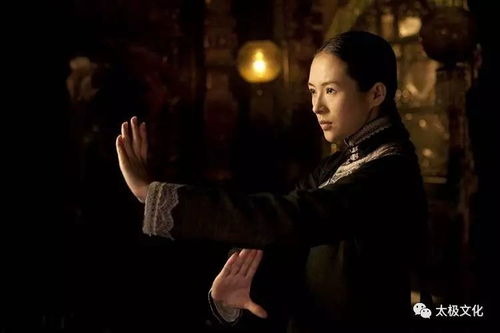 李立群犀利点评王家卫：一代宗师缺失宗师风范！