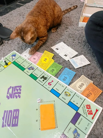 大富翁玩家藏了3年的「隐形财富密码」为什么你掷骰子总赚不到钱？