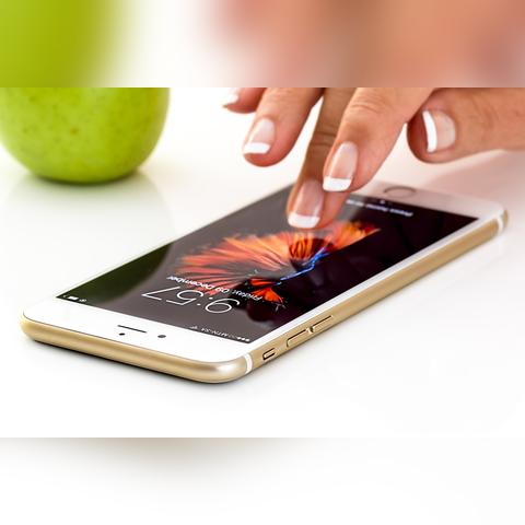 植物大战僵尸辅助工具到底能不能用？老玩家亲测3款冷门神器，通关效率翻3倍