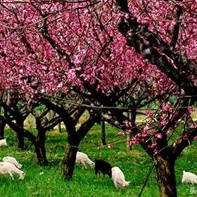 不是「线性」太极端，是你没看懂它的「战斗闭环」设计