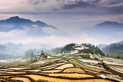 《望月》新预告：都市奇观，角色建模焕新颜