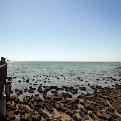 泡泡堂老玩家都在找的活化石论坛？3个细节让你找回当年开黑的热乎劲