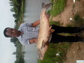 误捕300斤大海龟后，我摸透了这款钓鱼游戏的隐藏生态链