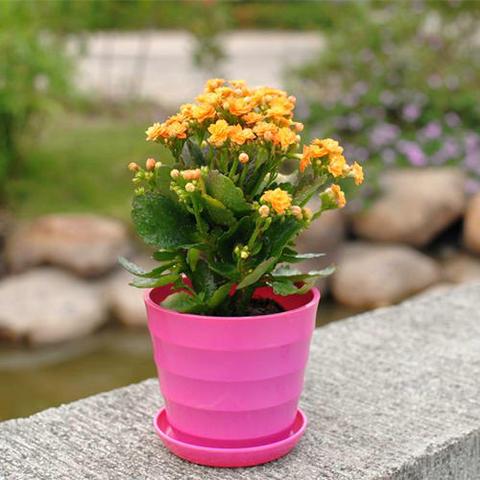 游戏里「腐化的源头」到底藏着什么？老玩家不愿说的3个深层真相