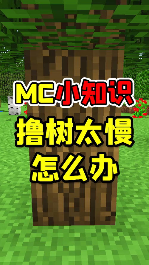 为什么你找的世界传奇总踩坑？3个散人必看的核心门道