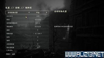 使命召唤5老兵难度通关卡关急救，6个隐藏机制+4张地图必拿道具全图文解析