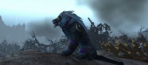 最后的德鲁伊隐藏命途，为什么90%玩家没读懂自然之灵的终极抉择？