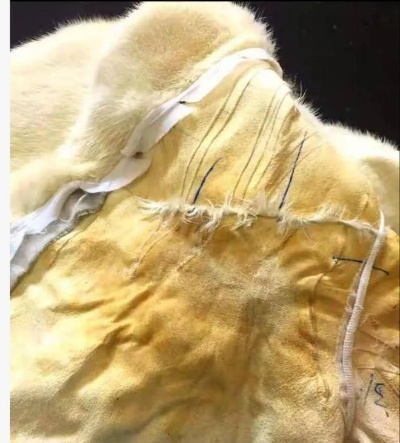 貂皮大衣洗毁退货引争议，商家300公里维权寻真相