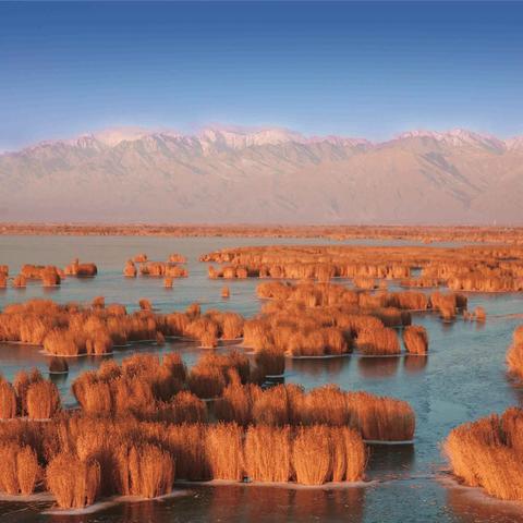 璀璨钻石段位真的是玩家分水岭？我用300场单排数据撕开隐藏的晋级真相